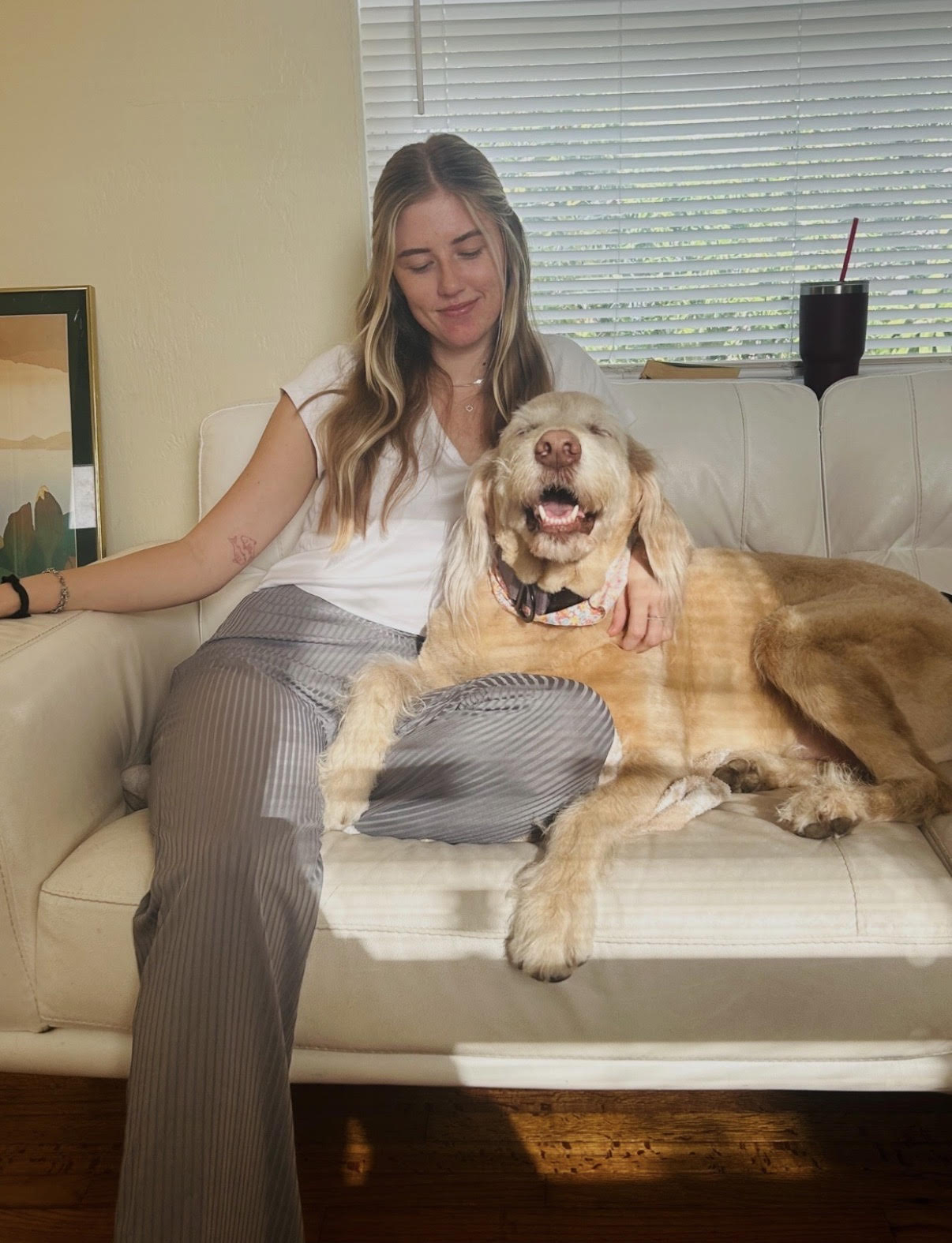 Emily with a freshly groomed dog